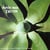 Exciter