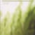 Untitled 1980 - Untitled 2013 - CD