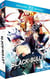 Coffret intégrale black bullet