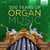 500 ans de musique pour orgue - vol.2 - Chezzi, Scandali, Stella, Pohl, Marini