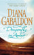 Dragonfly in amber