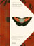 Iconotypes : a compendium of butterflies and moths - Jones's  icones complete