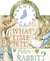 What time is it, peter rabbit ?
