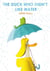 The Duck Who Didn't Like Water : a perfect Easter gift!