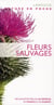 Fleurs sauvages - nouvelle présentation