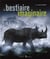 Le bestiaire imaginaire