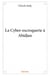La cyber-escroquerie à abidjan