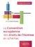 La convention européenne des droits de l'homme en schémas : A jour au 30 avril 2024