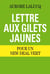 Lettre aux Gilets jaunes : pour un New Deal vert