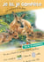 Je lis je complete animaux for