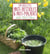 Mes recettes anti-bestioles et anti-maladies