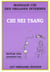 Massage chi des organes internes