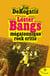 Lester Bangs - mégatonnique rock critic