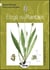 Éloge du plantain