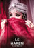 Le Harem : Histoires Érotiques Interdites de Sexe Tabou pour Adultes