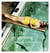 The swimming pool in photography