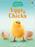 Eggs and chicks