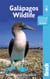 Galapagos wildlife