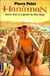 Hanuman - entrez dans la legende du dieu singe