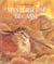 Mysterieuse becasse