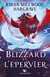 Le Géomancien Tome 2 : Le blizzard et l'épervier
