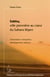 Sebha - ville pionnière au coeur du sahara libyen - urbanisation, immigration, développement, tensions