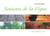 Saisons de la vigne