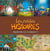 Les petites histoires - coffret VOL.1 - t.1 à t.3