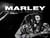 Bob marley, rebelle reggae