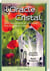 L ORACLE CRISTAL CES PIERRES QUI NOUS PARLENT