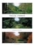 A gardener's journey