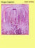 Corpus painting : Hugo Capron