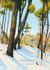 Promenade en hiver