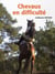 Chevaux en difficultés - diagnostics et préconisations