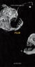 Film