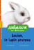 Animaux en détresse t.1 - Lucien, le lapin peureux