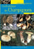 Guide pratique des champignons
