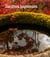Jardins japonais