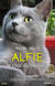 Alfie - le chat du bonheur