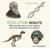 Évolution minute - 200 concepts clés sur les origines de la vie expliqués en un instant