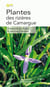 Plantes des rizières de camargue