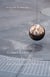 Dieter schwarz : gerhard richter two grey double mirrors for a pendulum in munster /anglais