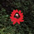 When The Flowers Bloom