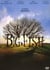 Big Fish
