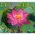 L'éveil du lotus - CD