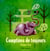 Comptines de toujours /vol. vert