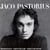 Jaco Pastorius