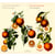 Airs & psaumes - CD