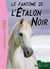 L'Étalon Noir 16 - Le fantôme de l'Étalon Noir