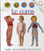 Le corps